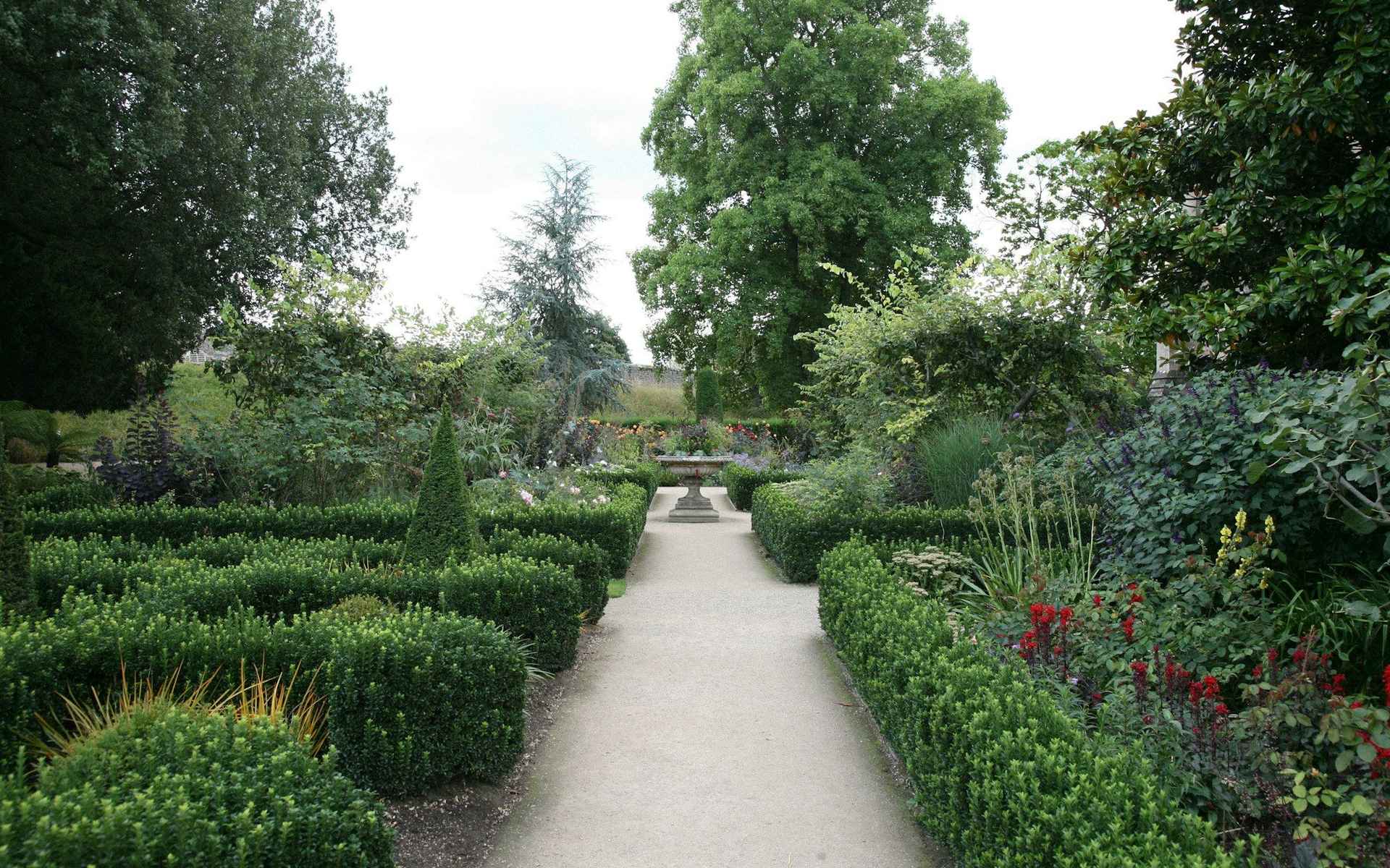 Allée bordée de haies taillées menant au fond d’un jardin
