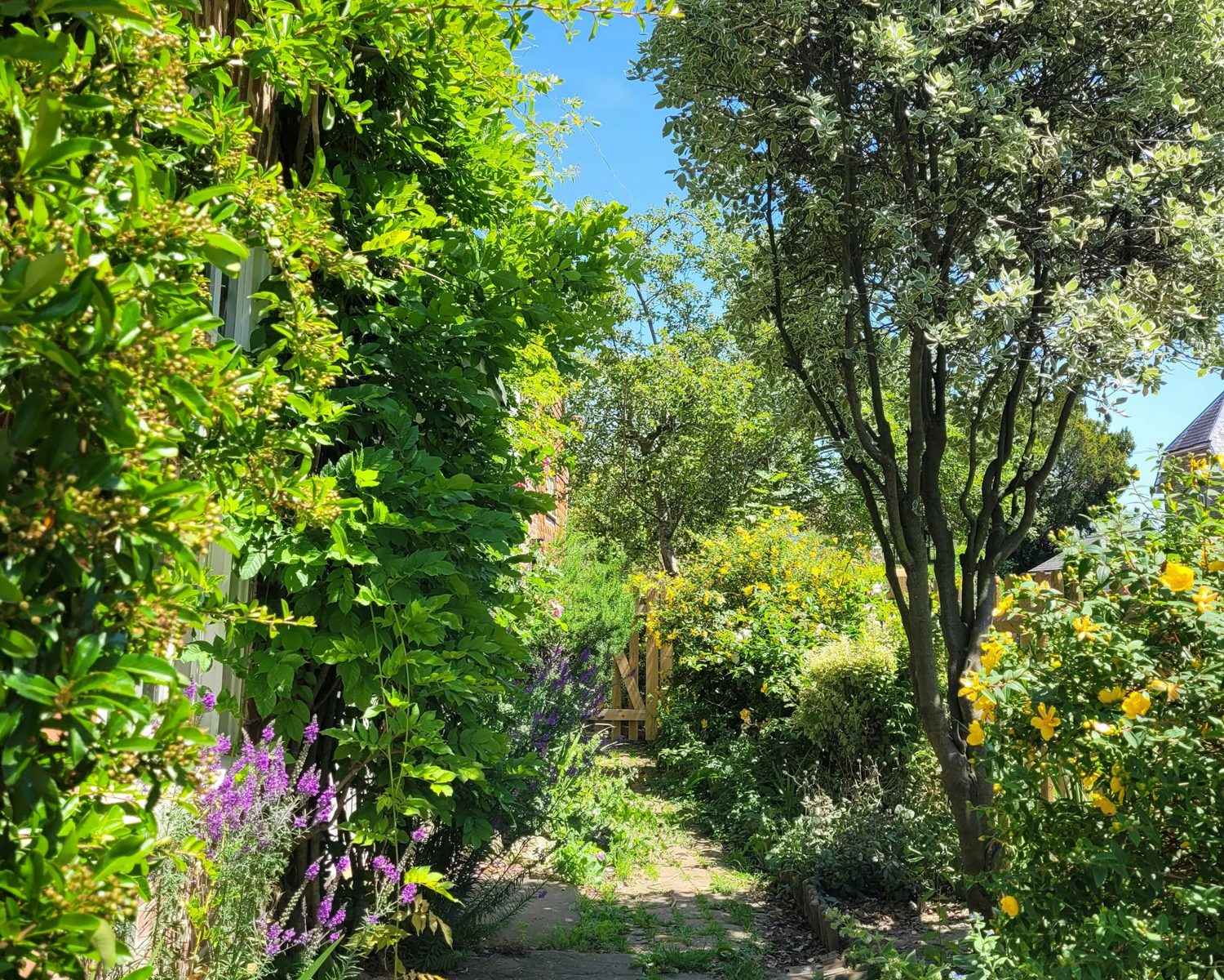 Allée étroite entre des massifs arborés et fleuris