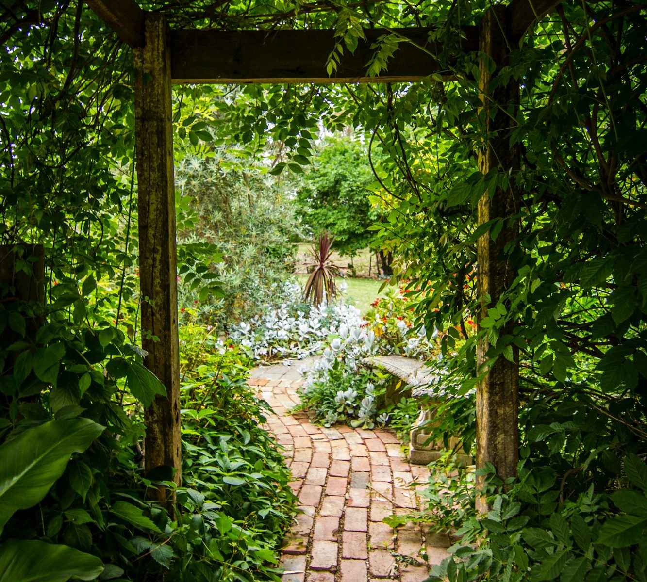 Allée couverte d’une tonnelle végétale au fond d’un jardin