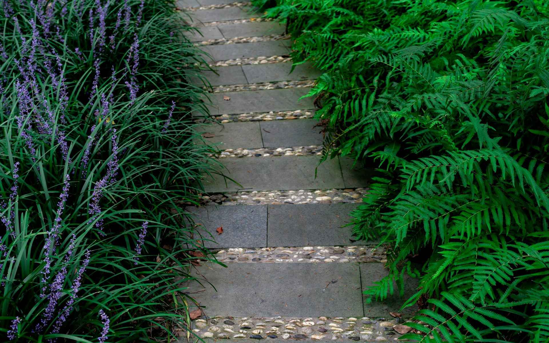 Escalier en pierre bordé de fougères dans un jardin