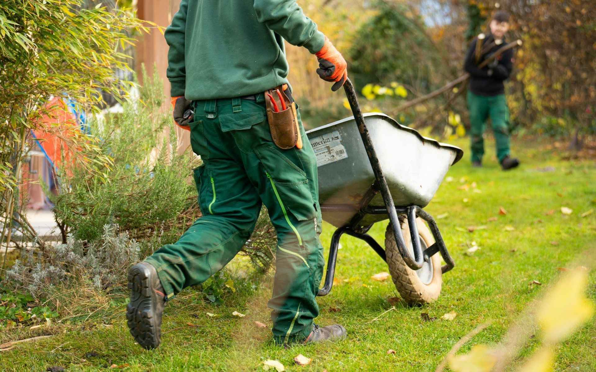 Jardinier poussant une brouette sur une pelouse bordée de massifs